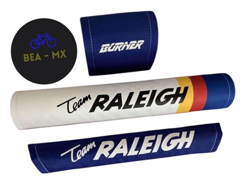Raleigh team aero - team,
