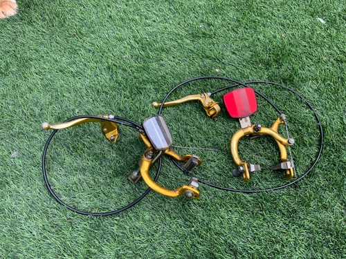 Raleigh burner gold brakes - burner,
